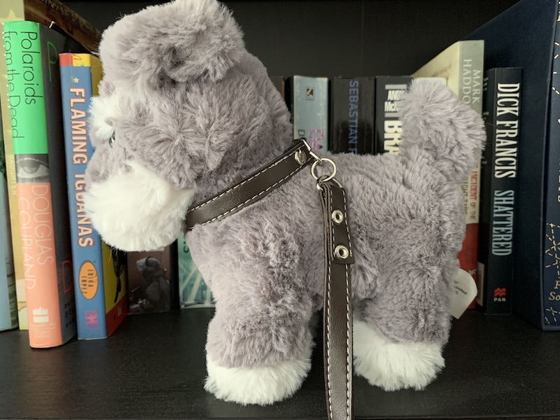 Closeup picture of toy dog with hardly any background visible, representing good mic proximity and good signal to noise ratio.